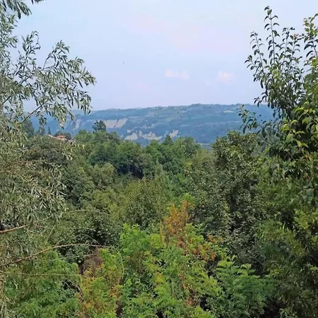 Mansion In Langhe With Pool And Winery Charm * Bastia Mondovì