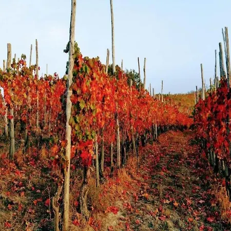 Mansion In Langhe With Pool And Winery Charm Сasa de vacaciones *