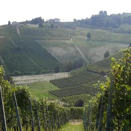 Mansion In Langhe With Pool And Winery Charm